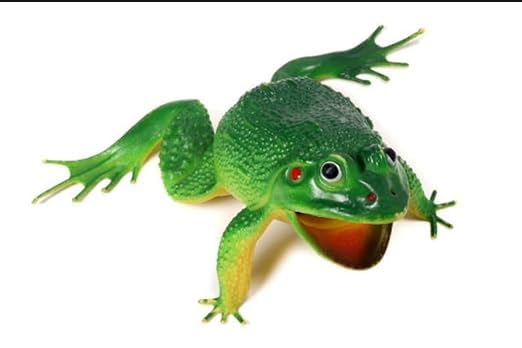 Fola Moolyavaan Products Soft Rubber Frog Toys Looks Realistic In Nature Frog Choo Choo Whistle Sound Big Size (B0CSPHTQ7B) Amazon Price History, Amazon Price Tracker