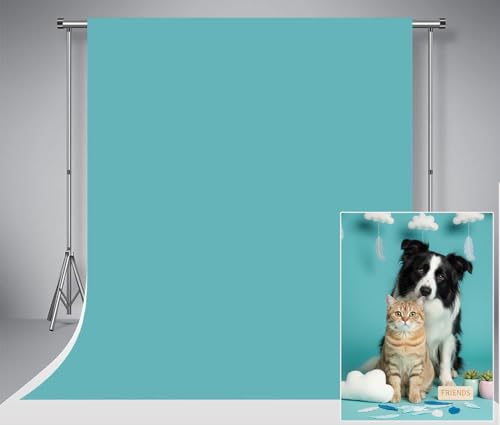 Toile de fond bleu-vert pour la photographie Kate 1.5x2.2m lavable