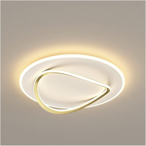 Modern Minimalist Black Ceiling Light LED Round Fixture for Bedroom Living Room Kitchen Stylish Iron & Acrylic Design Energy Efficient Room Lighting