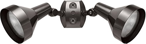 RAB Lighting H2A Bell Shaped Dual Floodlight Kit, PAR38 Type, Aluminum, 300W Power, Bronze Color, Multicolor