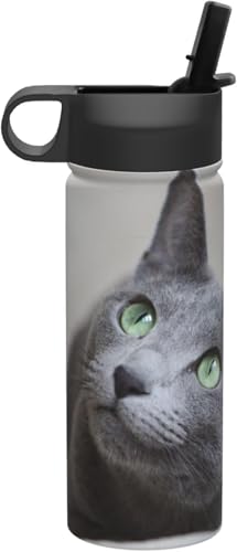 VAu[ ˂ L L DF  ^fM ۉ ۗ X|[c{g lC XeX{g X|[cΉ RȂ 530ml j̎q ̎q  v[g