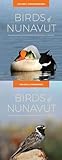  Birds of Nunavut