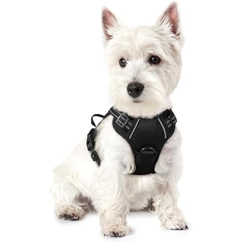 rabbitgoo No-Pull Dog Harness Cover