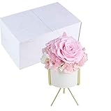 Forever Blossom Handmade Preserved Flower Rose Table Decor, Never Withered Roses, Premium Roses for Love Ones, Gifts for Loved Ones on All Occasions (Pink)