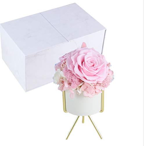 Forever Blossom Handmade Preserved Flower Rose Table Decor, Never Withered Roses, Premium Roses for Love Ones, Gifts for Loved Ones on All Occasions (Pink)
