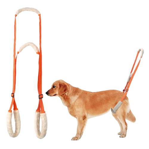 Hundegeschirr Grosse Hunde Gehhilfe mit Sicherheitsgurt - Tragehilfe für Kranke & Altere Hunde