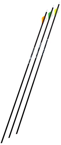 Gold Tip Ultralight Entrada 340 Arrows with 2-Inch HP Vanes (72 Count)