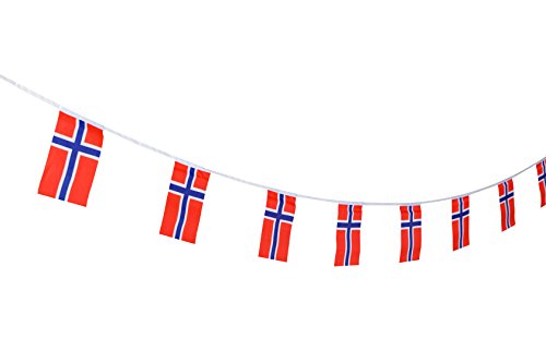 TSMD Norway Flag, 100 Feet Norwegian Nordmann Flag National Country World Pennant Flags Banner,International Party Decorations for Grand Opening,Olympics,Bar,School Sports Events,Festival Celebration - Thumbnail 5