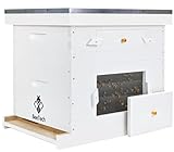 BeeTech Newest Windows 8 Frame Bee Hive Kit Hand Painted Includes Unassembled Beehive Box with Beehive Frames and Foundations (1 Deep & 1 Medium)