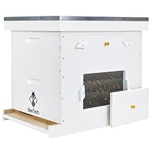 BeeTech Newest Windows 8 Frame Bee Hive Kit Hand Painted Includes Unassembled Beehive Box with Beehive Frames and Foundations 1 Deep & 1 Medium