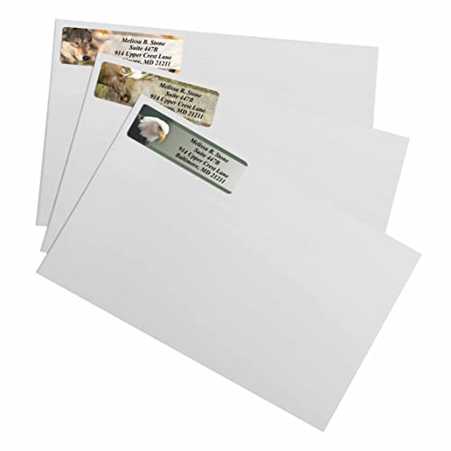 Nature's Wildlife Assorted Designer Rolled Address Labels with Elegant Plastic Dispenser - Thumbnail 3