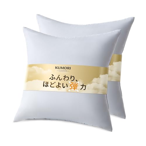 �N����(Kumori) �N�b�V���� ���g 60×60cm�E2�� �����Ղ�{�����[���� ���e�͂Ńw�^���ɂ��� �ӂ�ӂ�_�炩���G�� �L�x��5�T�C�Y�W�J ��􂢉\ ���ł������� �w������ ���� ������ �k�[�h�N�b�V���� �ϖ� �O���[