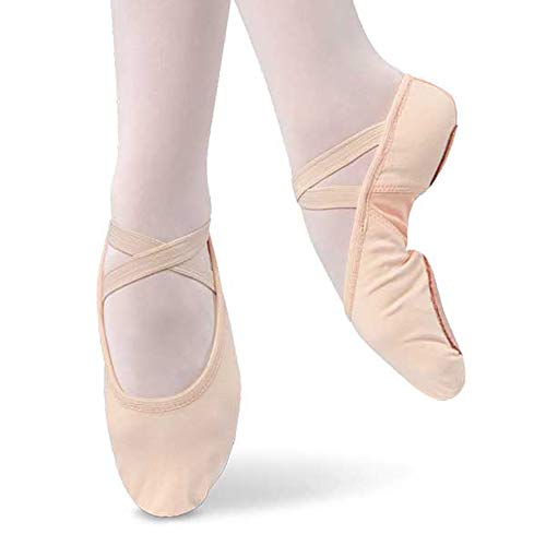Danshuz Women's Canvas Stretch Ballet Shoes, Pink Canvas, Nylon, Spandex, 9.5 M