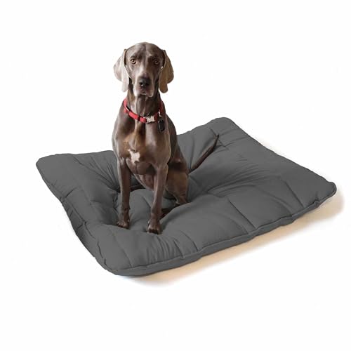 Italian Bed Linen Maxy Cuscinone per Cani Imbottito, Fumo, 130 x 100 cm