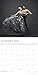 Dance: The Art of Movement 2020 Wall Calendar
