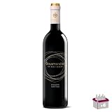 ¡Seis botellas de 75Cl de vino tinto IGP Mediterráneo de los Maestros de la Península de Saint-Tropez! Vintage 2021