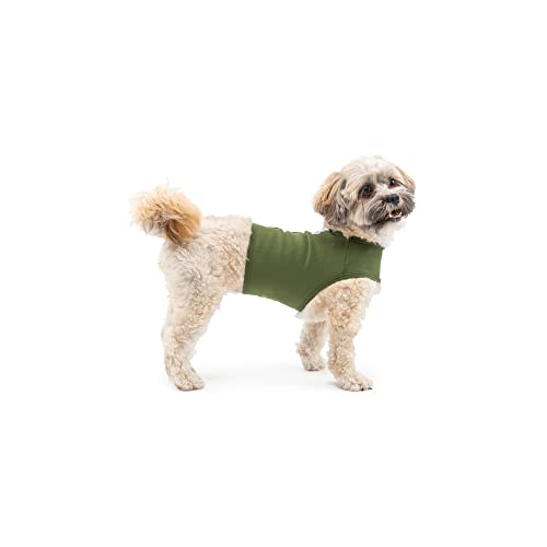 Mellow Shirt Dog Anxiety Calming Wrap, X-Small, Cypress #TOP1