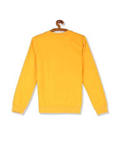 Image of U.S. POLO ASSN. Boys Cotton Turtle Neck Sweatshirt