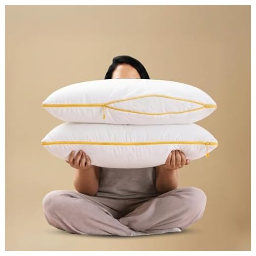 SleepyCat Microfiber Cloud Pillow with Adjustable Zipper Set of 2 (Standard Size, 27x18 Inches) White