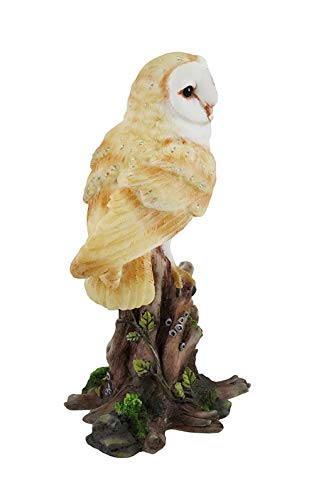 Estatua de Búho Majestuoso Veronese Design 5 Pulgadas miniatura 3