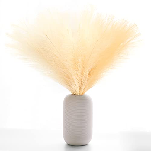 6 Pezzi Pampas Artificiale,Phragmites Essiccata