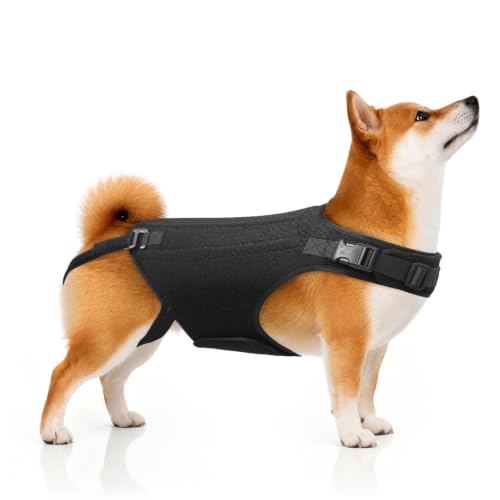 Dog Back Brace for IVDD, Spine Support, Pain Relief & Recovery(Black,M)