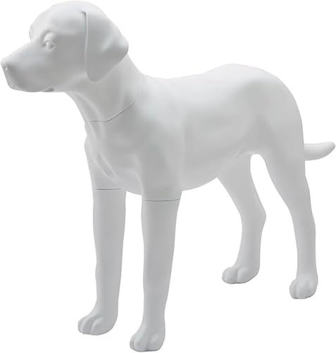 uh[}lLAVbvpfBeAߗޗp}lLAO\ȑ傫Ȕuh[AybgfBXvCAFRPf