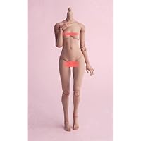 1/6  World Box ワールドボックス 素体AT230 カスタムヘッド Amazon.co.jp: [Tbmodel] Worldbox 1/6 フィギュア 女性 関節 素