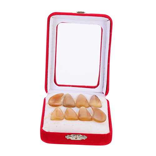 WESIEVYA tFCNtBK[sbN ⶗pt ϋv̂ypt pIȌ⶗pi wveN^[ 炩Ŋۂ݂̂` y RpNg tKɓKyANZT[