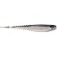 Electric Shad