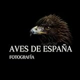 AVES DE ESPAÑA: FOTOGRAFÍA (Spanish Edition)