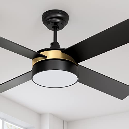 Photo 1 of YITAHOME Black Ceiling Fans with Light and Remote