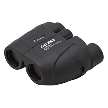 Kenko Binocular SG EX 10x25 WP, Porro Prism, Water Proof, Compact Design, for Outdoor and Bird Watching, Concert 612101