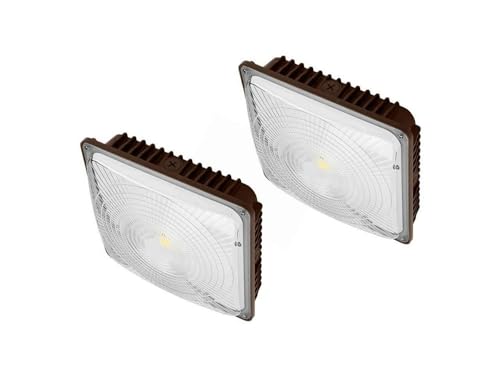 HYHDDM Luz LED for marquesina de 75 W, Resistente al Agua y a Prueba explosiones, Exteriores, 6500 LM, 5500 K, reemplaza lámparas HID/HPS 250 (Paquete 2)(120)