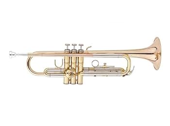 Jean Baptiste トランペット JBTP483LE 31CcoZ6dURL._UF350,350_QL80_.jpg