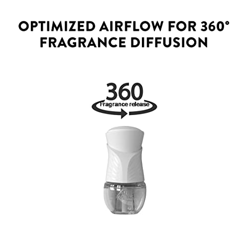 image for Air Wick Plug in Scented Oil 2 Refills, Fresh Pine and Juniper, Fall s