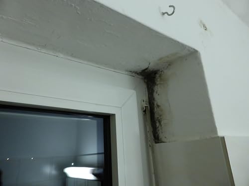 Baufan Schimmelspray 1 Liter | mit Aktivchlor | sofortige Wirkung | ideal für Silikon- und Fliesenfugen | vorsichtig Biozidprodukt