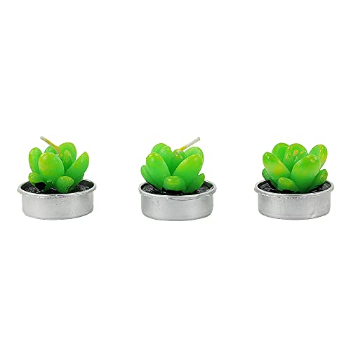 Kit 6 Velas Decorativas Formato de Mini Suculentas ou Cactos