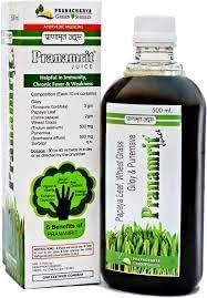 PRANAMRITT JUICE 300ML