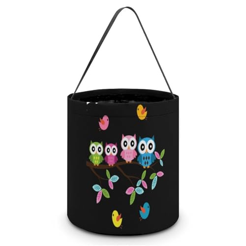 nEB LfBoXPbg 킢tNE LfB َq Rei 񂰑 y p[eB[LOi v[g OWp