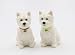 StealStreet SS-CG-20885, 2.88 Inch Ceramic Westie Dog Salt and Pepper Shaker, Set of 2