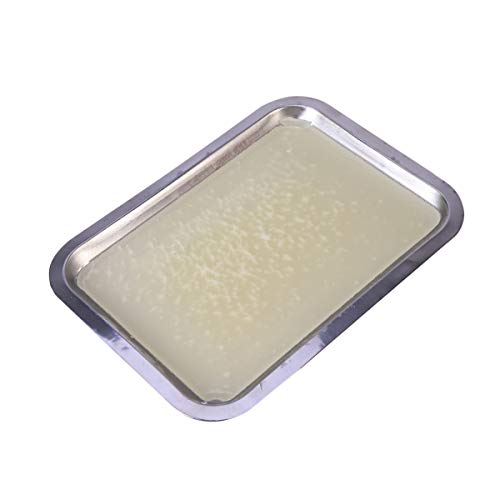 Mipcase Wax Dissection Tray Stainless Steel Lab Dissecting Pan Tattoo Tool Biological Laboratory Equipment Lab Supplies #TOP6