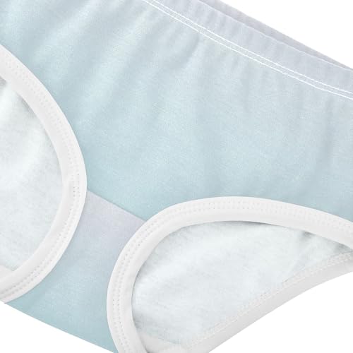 Joisal Magnolia Aqua Gradient Ombre Cute Panties Girl Toddler Girls Underwear Cotton Fun Print Briefs Girls Undies 2t4
