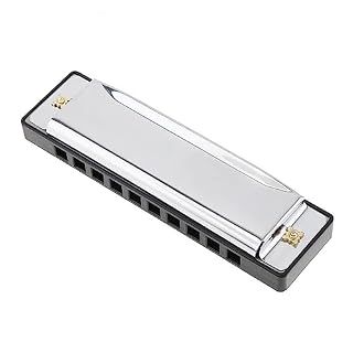 PacuM Harmonica par clé d’instrument 10 trous Harmonica professionnel Instrument de musique Orgue à bouche en acier inoxydable Harmonica - Les Beatles, Paul McCartney, John Lennon, RIngo Starr, George Harrison PacuM Harmonica par clé d'instrument 10 trous Harmonica professionnel Instrument de musique Orgue à bouche en acier inoxydable Harmonica – Image 3