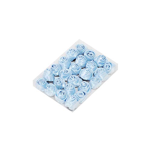 Hervit Rose satin bleu clair Cover