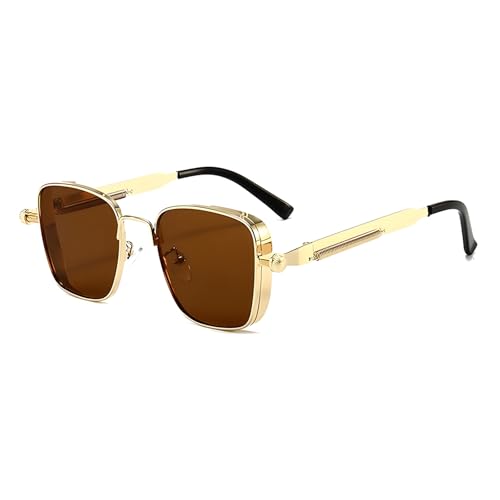 Auralice Brown Steam Punk Sunglasses for Women and Men, Retro 90s Square Sunnies with Gold Metal Frame, Trendy Designer Style Shades with UV400 Auralyn