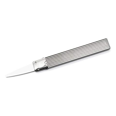 Sanident Toothpick with Flexible 925 Silver tip Reusable & fits in Every Pocket Cover