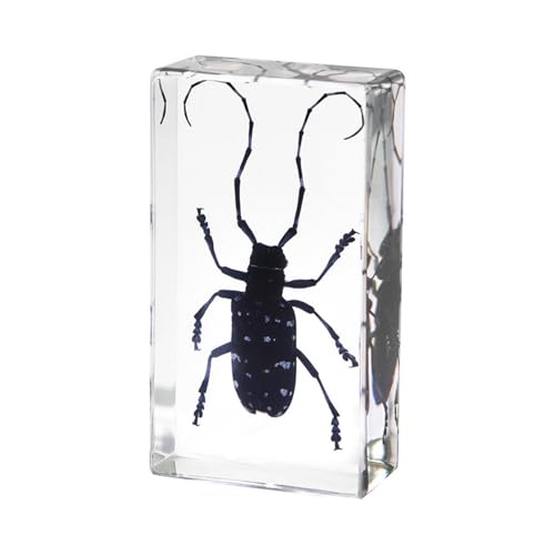 Image of 9pcs Taxidermy Beetle Moth Scorpion, Real Bug Specimens in Resin, Science Educational Classroom Specimens, Clear Sealed for Closer-Look & Study in Healthy, Unique Amazing Gift (2.9x1.6x1.0-inch)