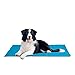 Seekavan Tapis rafraîchissant pour chien, non toxique et durable pour animal de compagnie, tapis de refroidissement en gel glacé pour chiens et chats pour les étés chauds