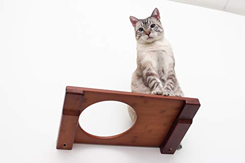 CatastrophiCreations Cat Mod Escape Hatch Handcrafted Elevated Wall, English Chestnut, One Size